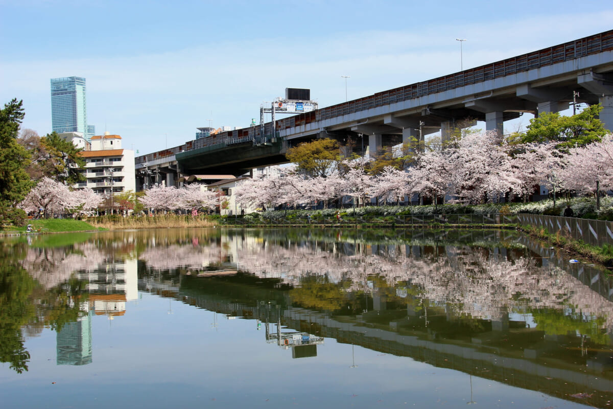 桃ヶ池公園